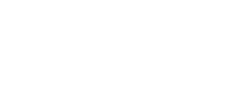 L1